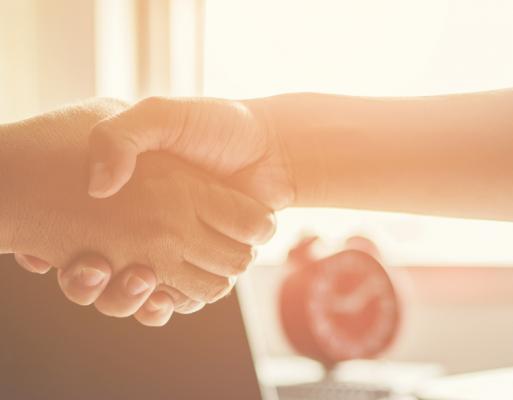 Handshake team visual